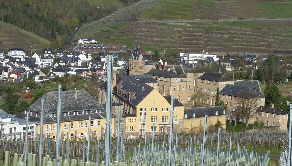 Gymnasium | © DAV Koblenz