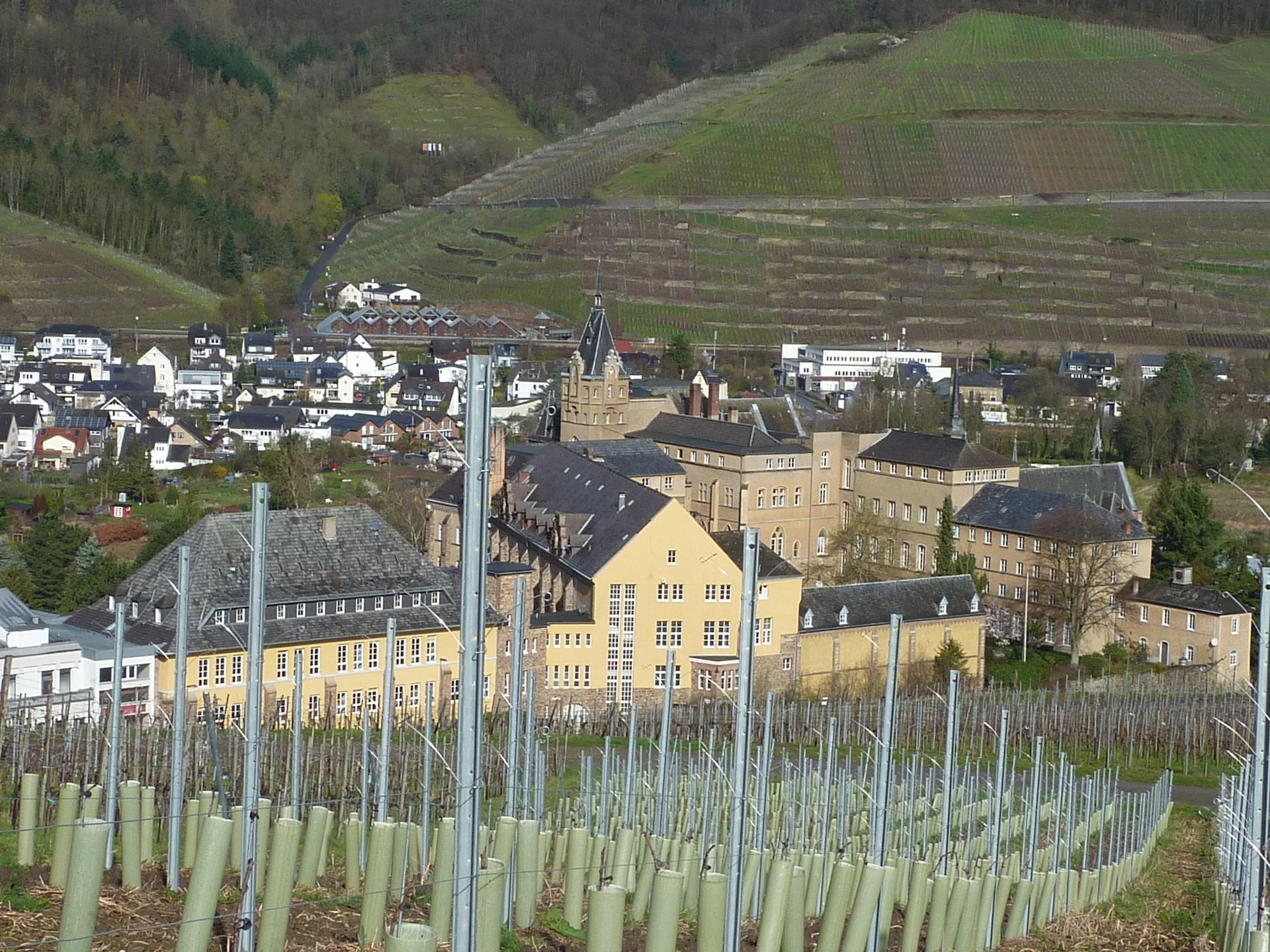 Gymnasium | © DAV Koblenz