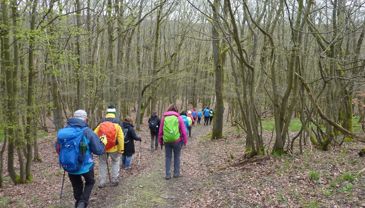 Rückweg AhrSteig | © DAV Koblenz