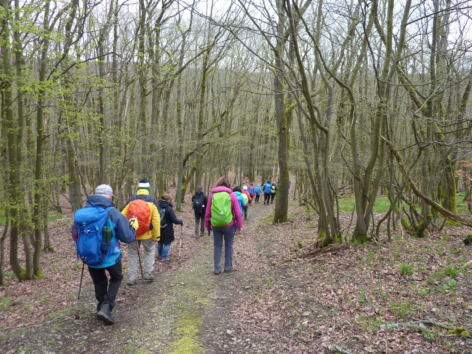 Rückweg AhrSteig | © DAV Koblenz