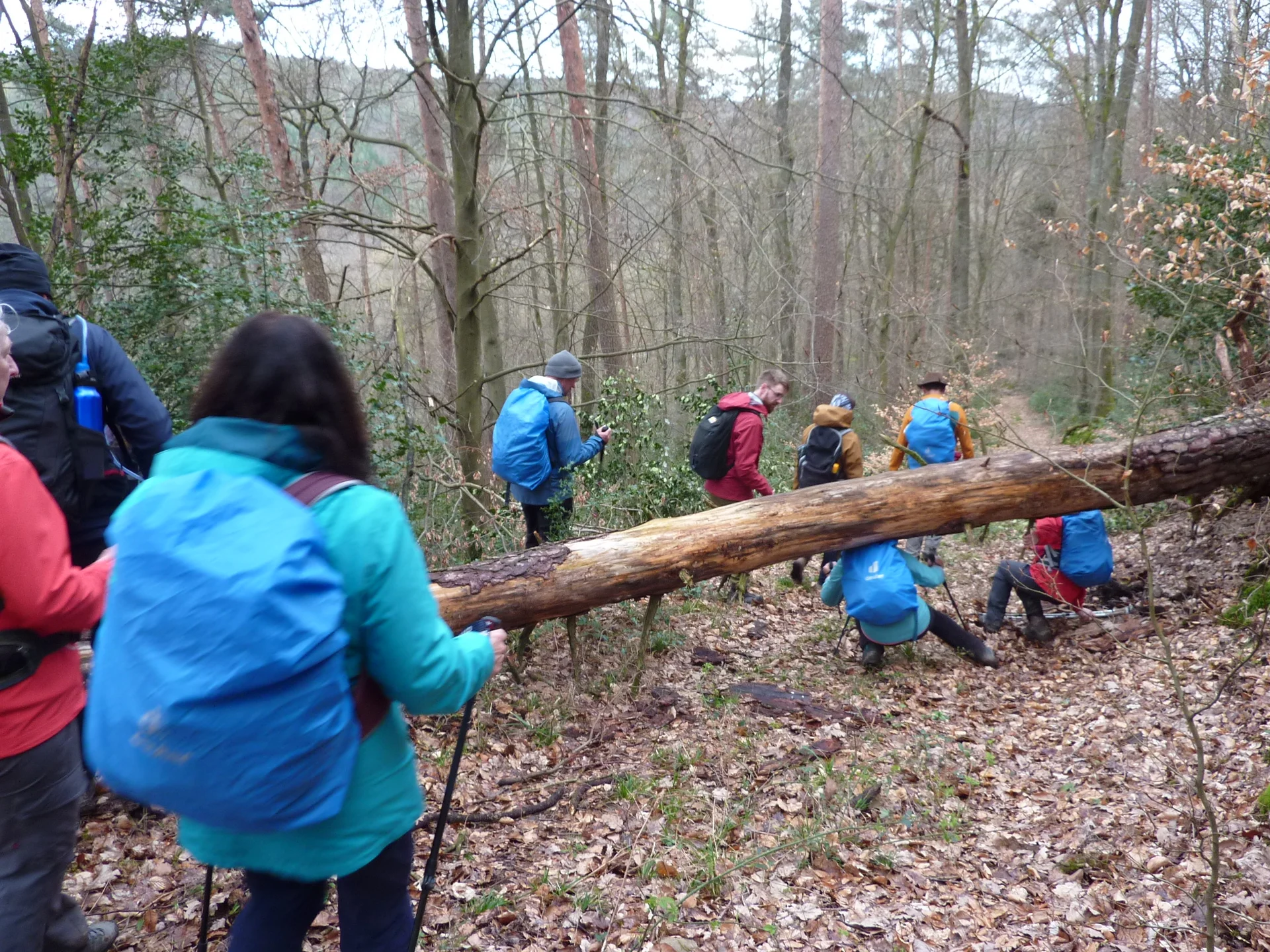 Wanderung mit Hindernissen | © DAV Koblenz
