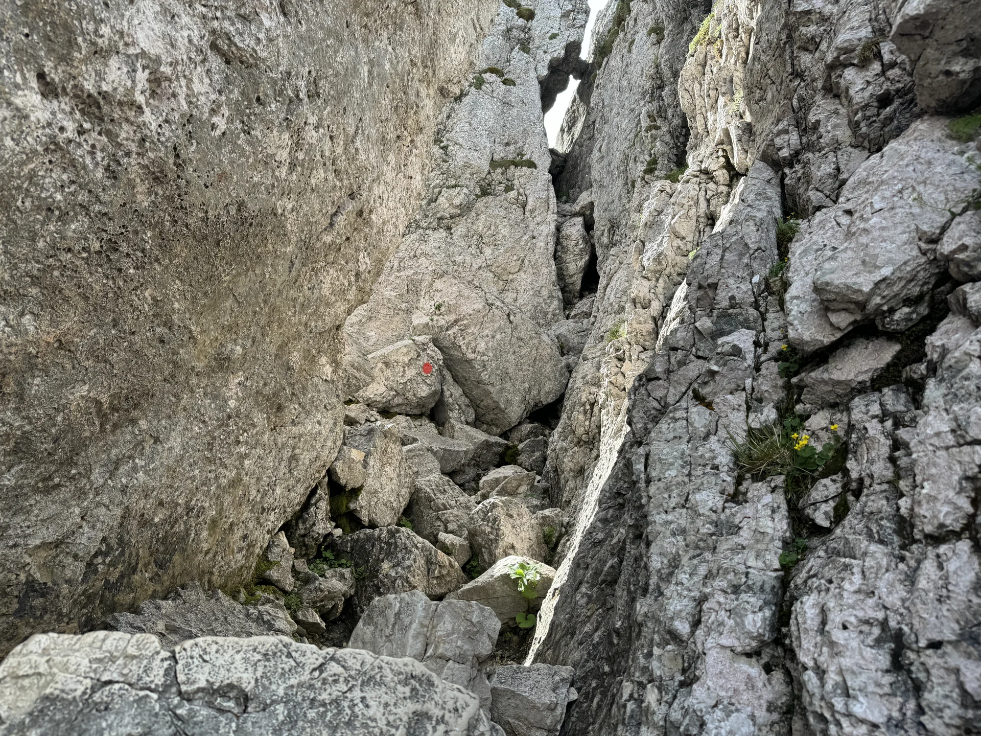 Aufstieg zum Gipfel der Kampenwand (1) | © DAV Koblenz