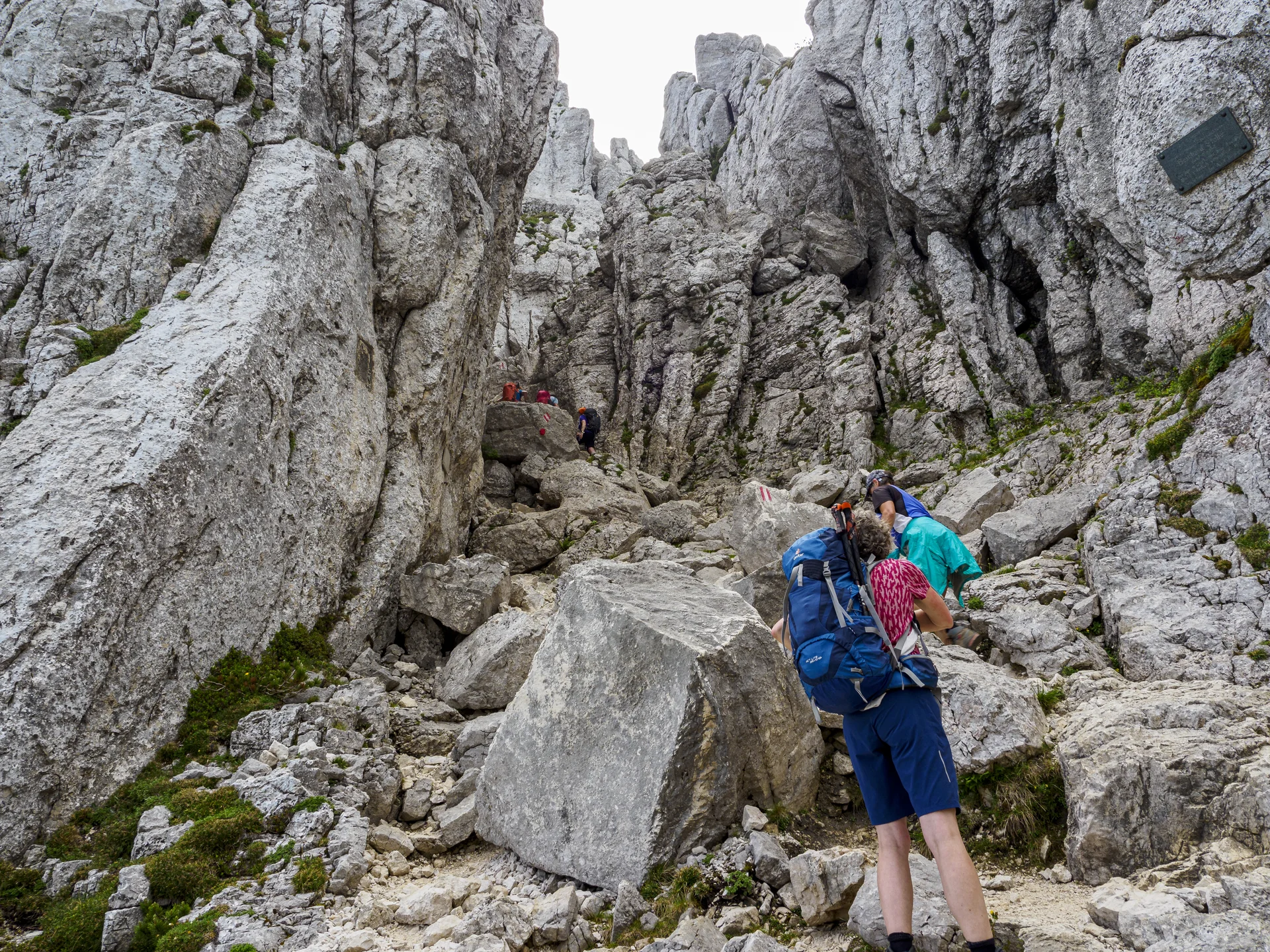 Aufstieg zum Gipfel der Kampenwand (4) | © DAV Koblenz