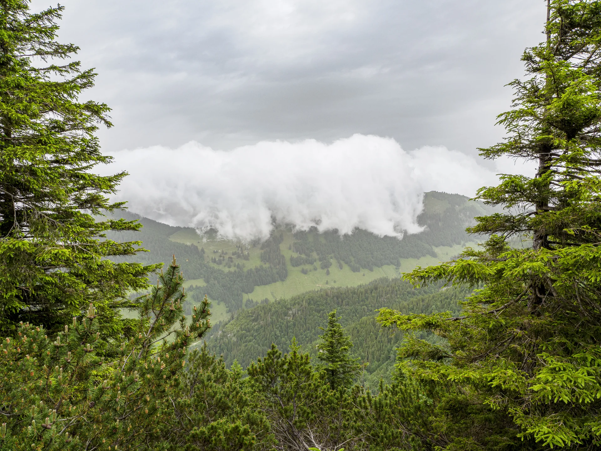 Wolkenwalze am Hochries | © DAV Koblenz