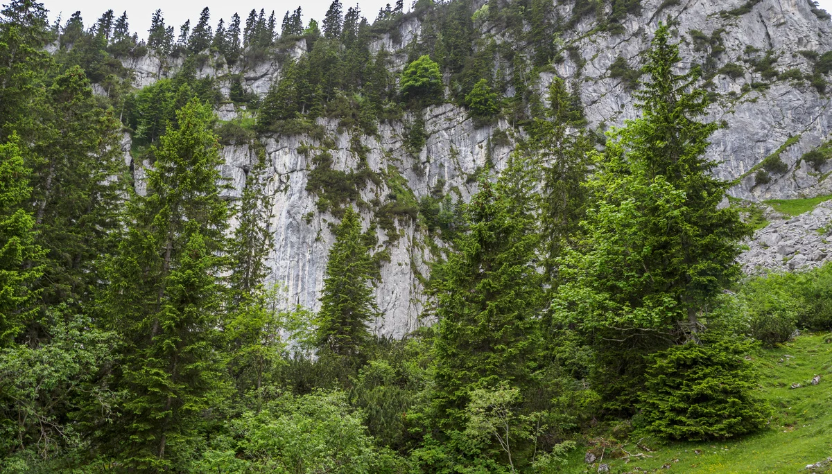 Kletterwand am Spitzstein | © DAV Koblenz