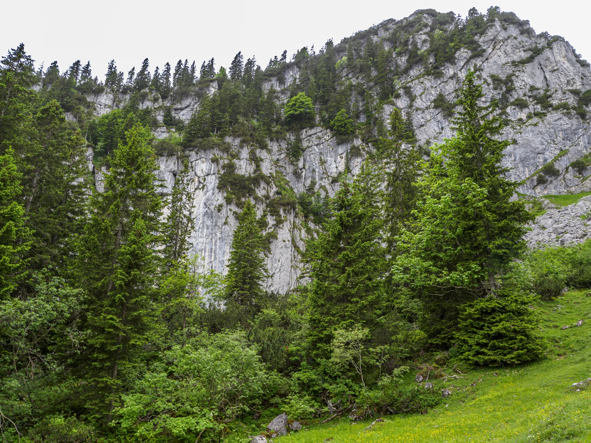 Kletterwand am Spitzstein | © DAV Koblenz