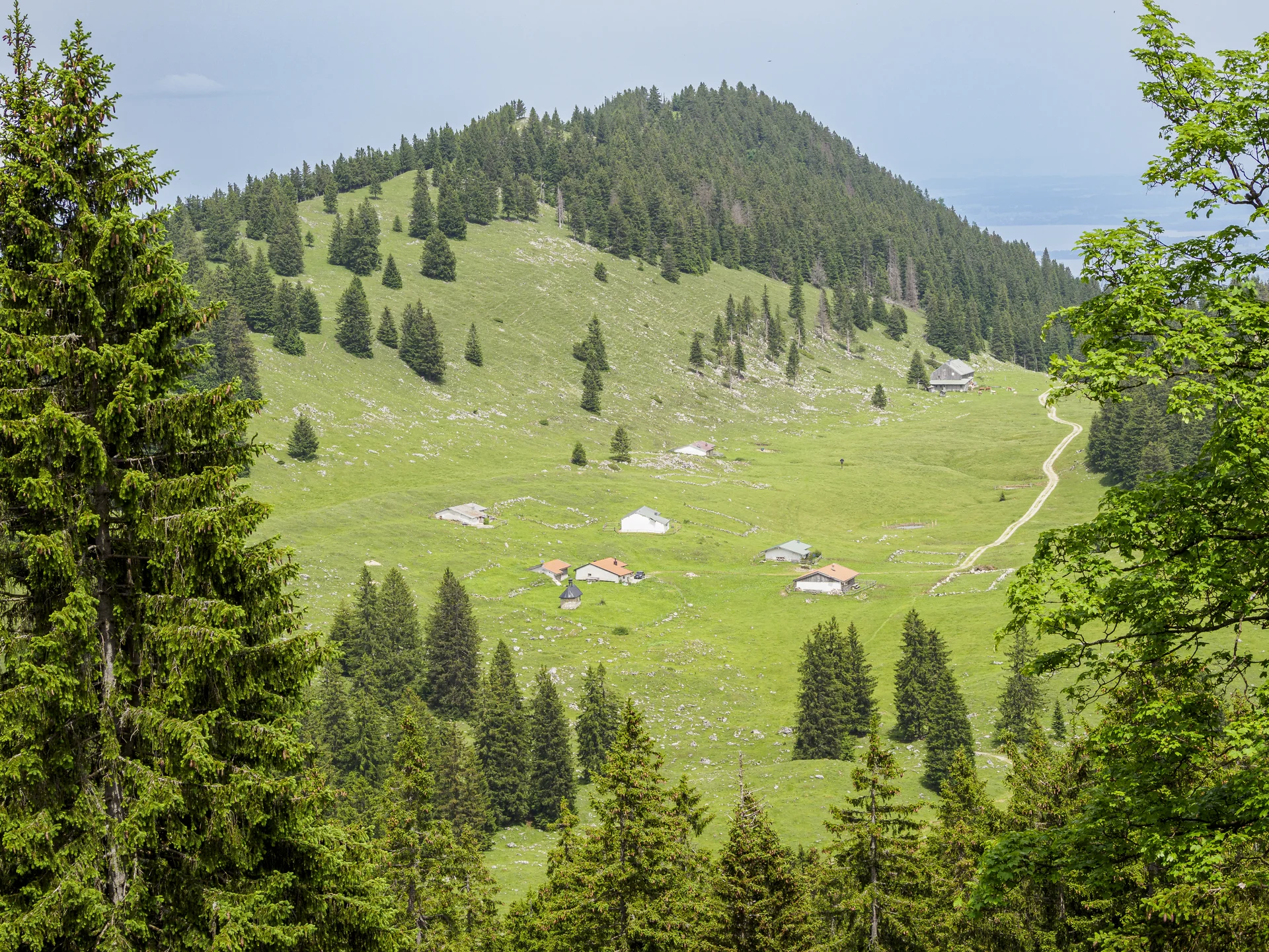 Blick runter zur Riesenhütte | © DAV Koblenz