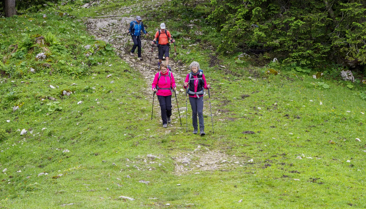Abstieg vom Hochries | © DAV Koblenz