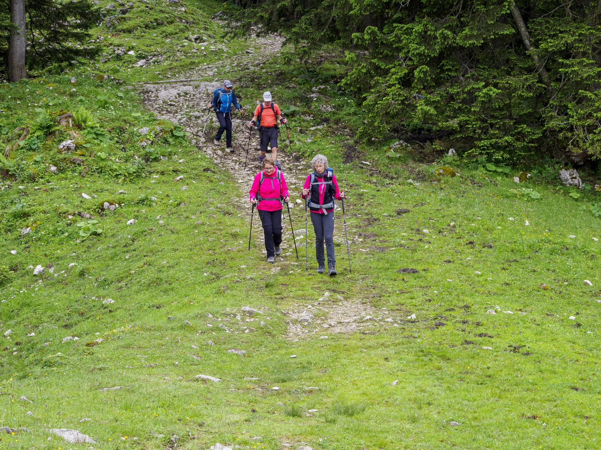 Abstieg vom Hochries | © DAV Koblenz