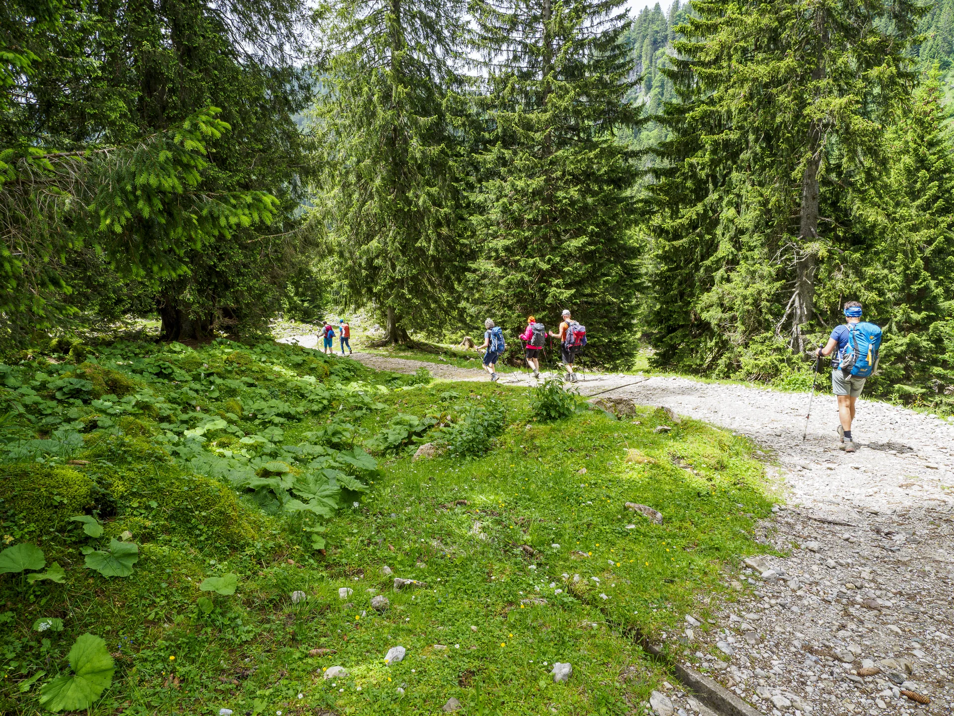 Auf dem Weg zur Hochriehütte | © DAV Koblenz