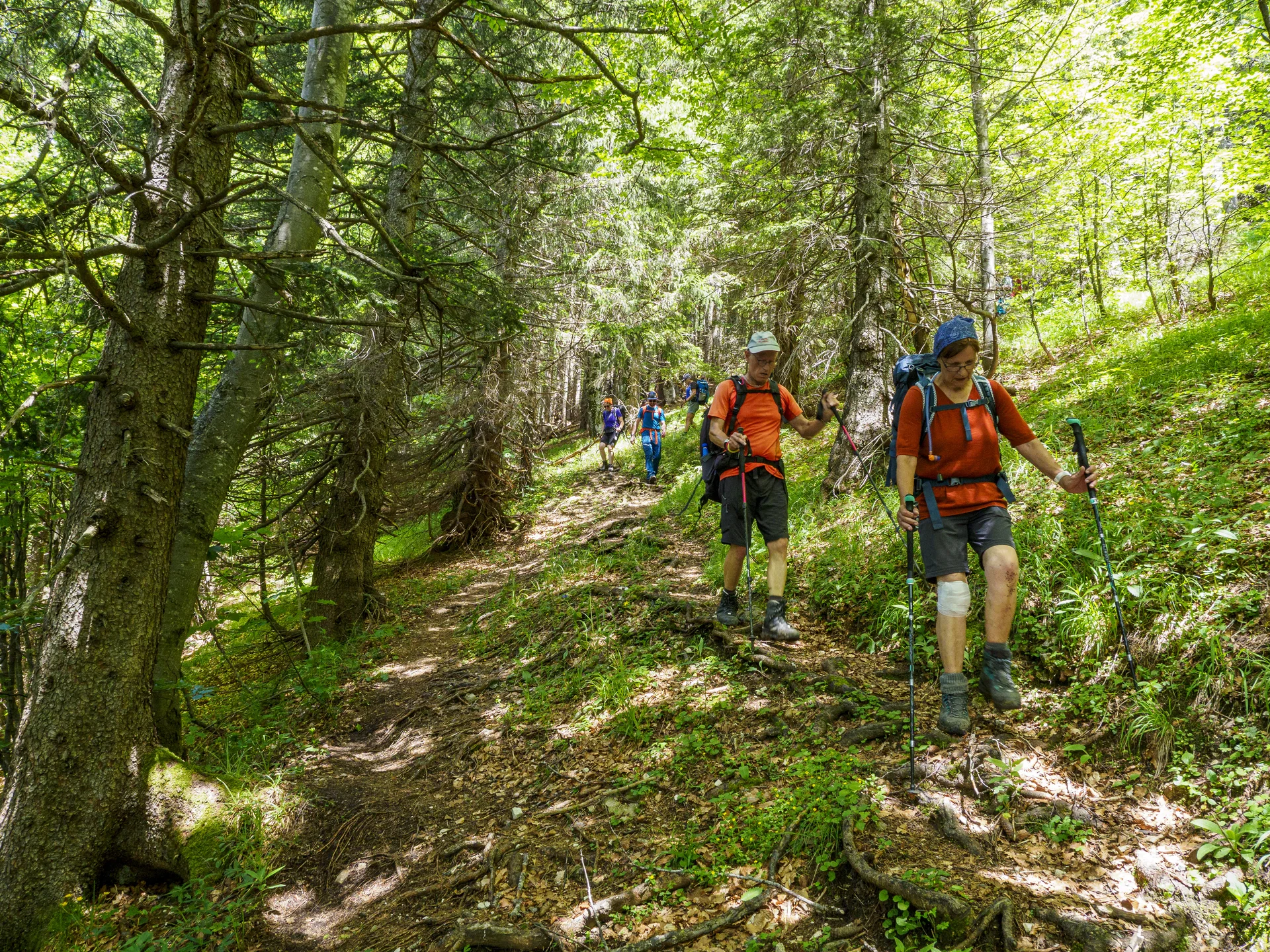 Weg zum Dalsensattel | © DAV Koblenz