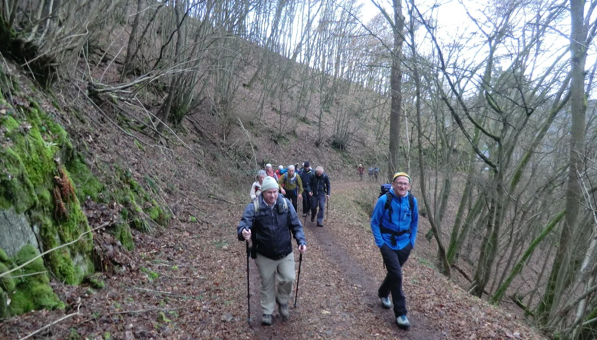 Entlang Waldweg | © DAV Koblenz