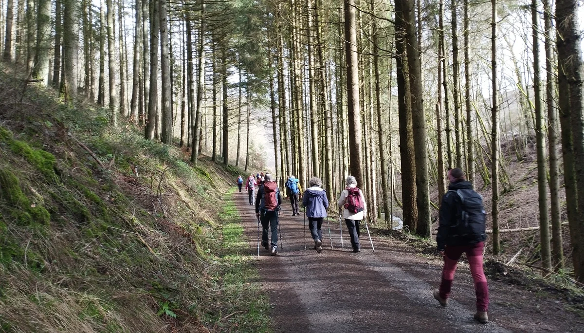 Entlang Waldweg | © DAV Koblenz