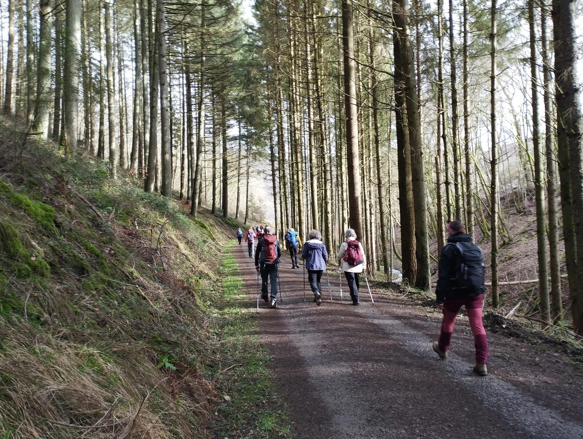 Entlang Waldweg | © DAV Koblenz