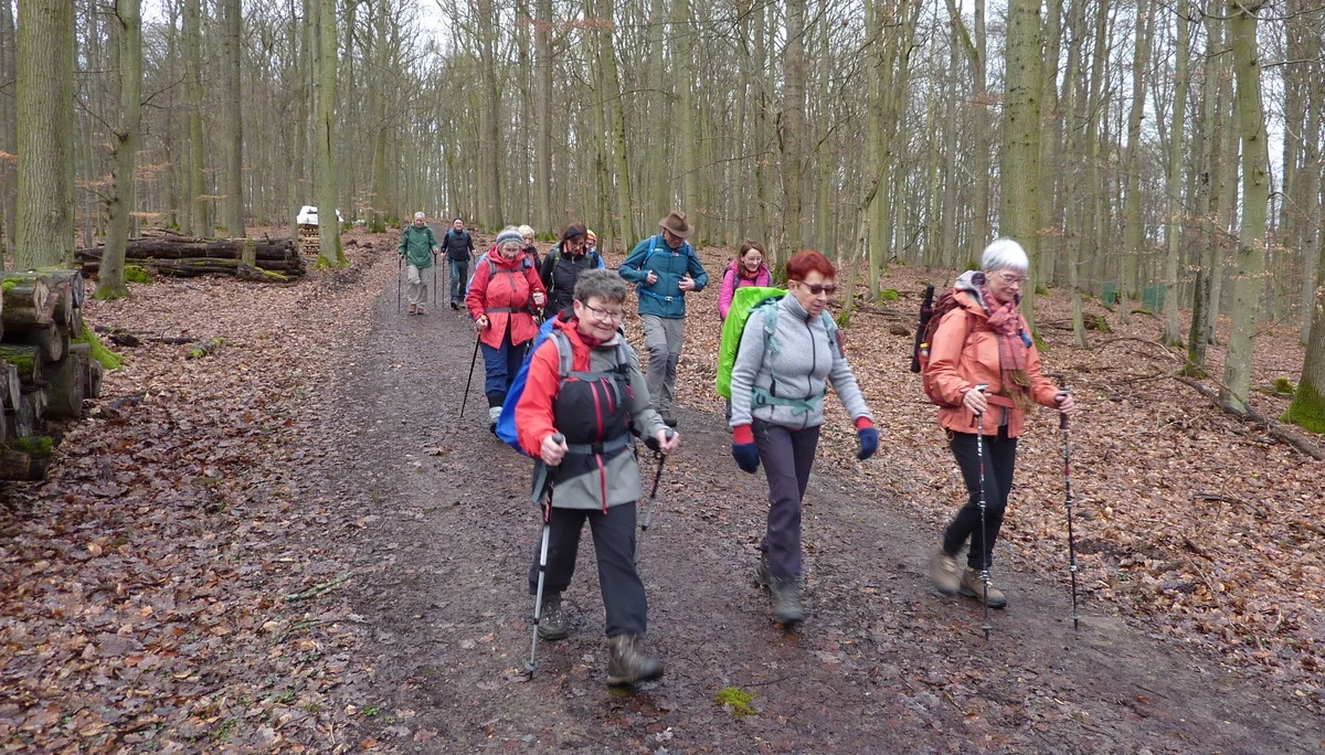 Waldweg | © DAV Koblenz