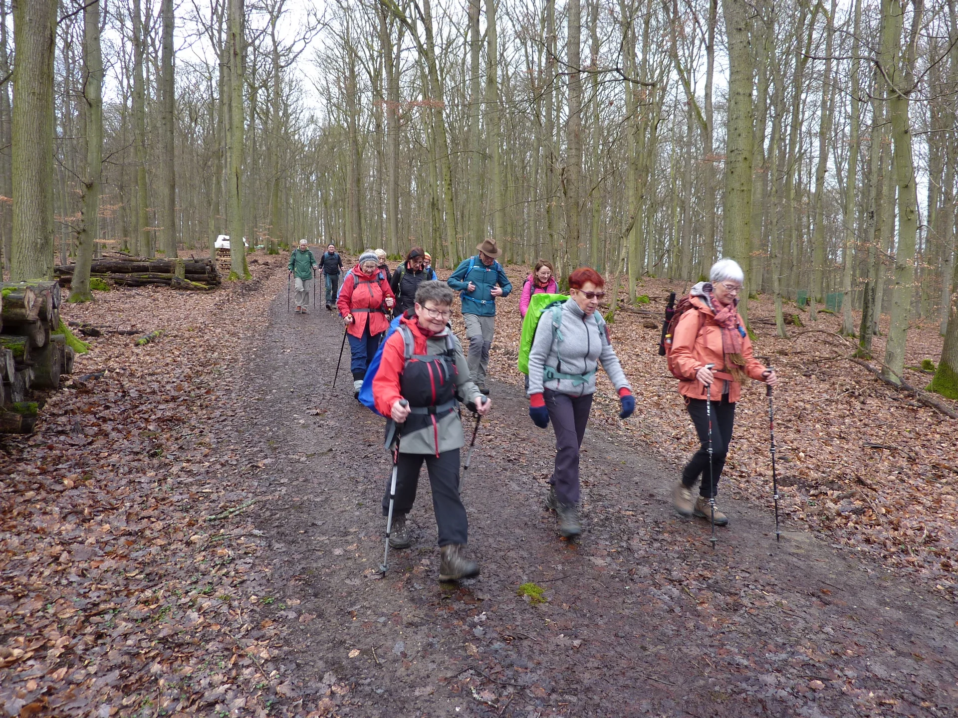 Waldweg | © DAV Koblenz