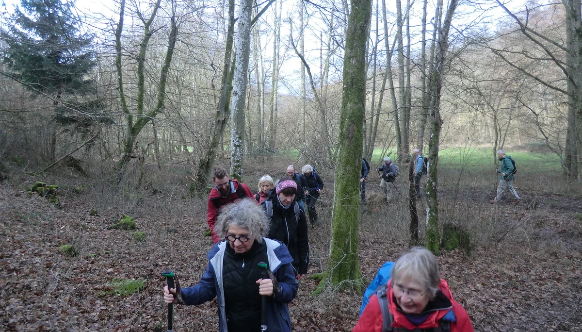 Auf Waldweg | © DAV Koblenz