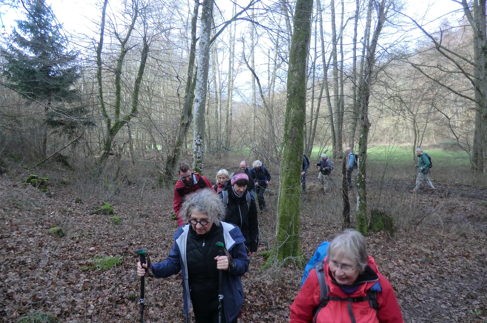 Auf Waldweg | © DAV Koblenz