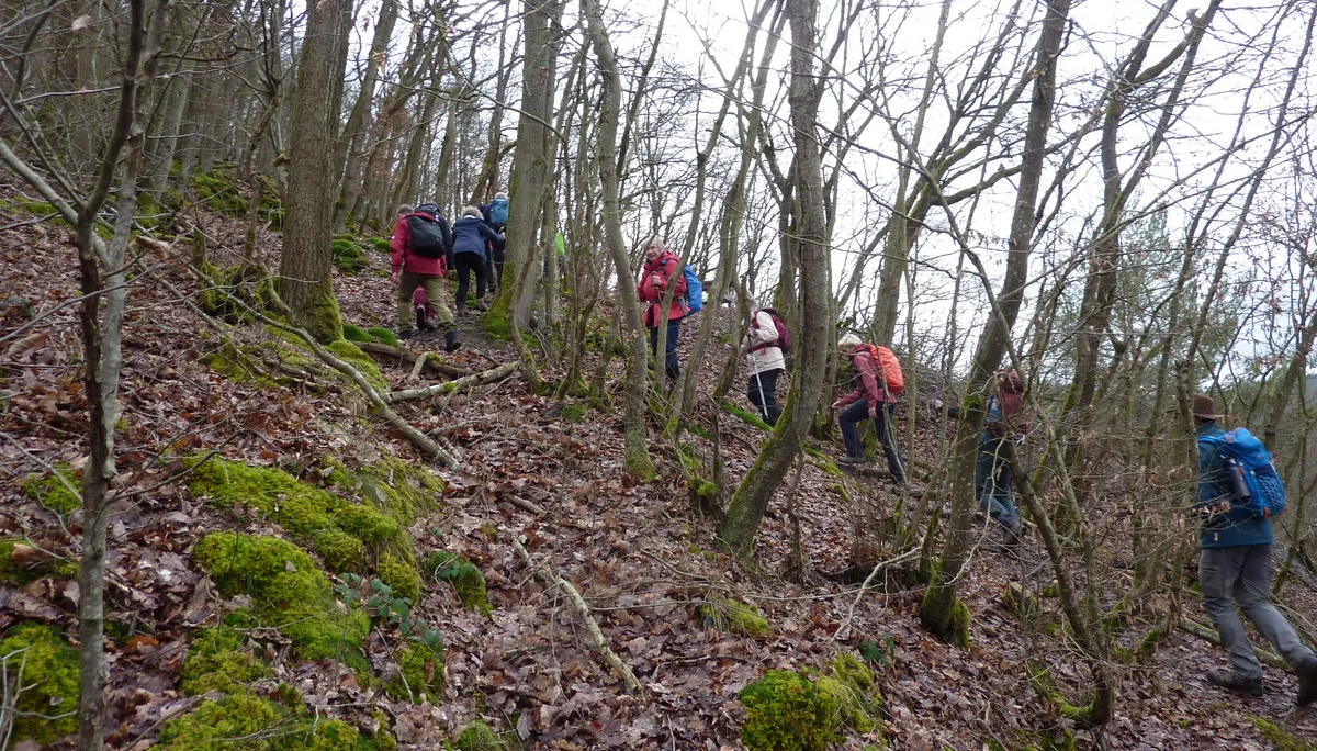 Immer aufwärts. | © DAV Koblenz