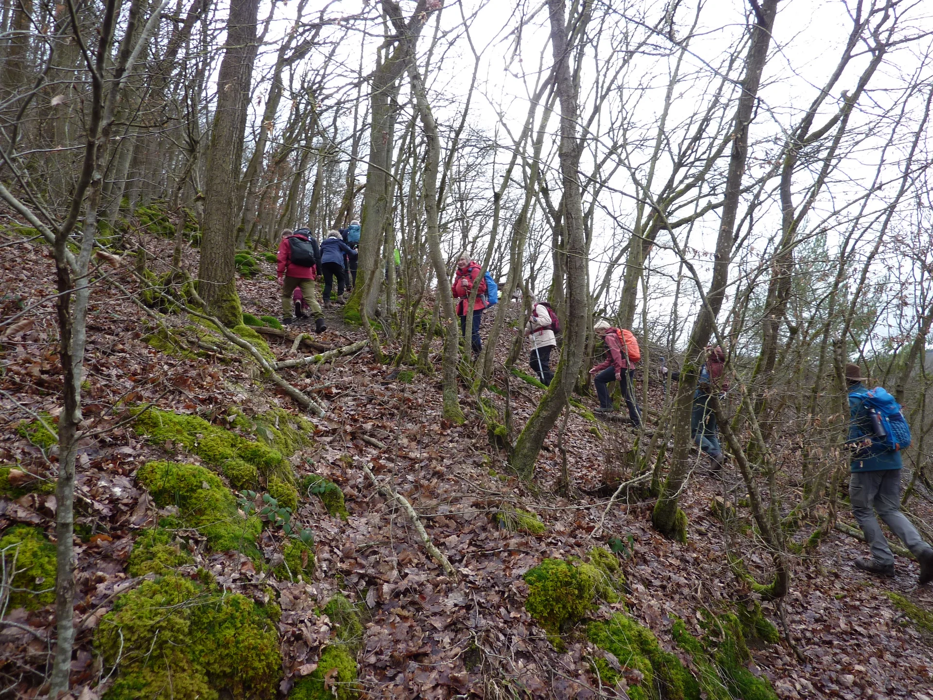 Immer aufwärts. | © DAV Koblenz