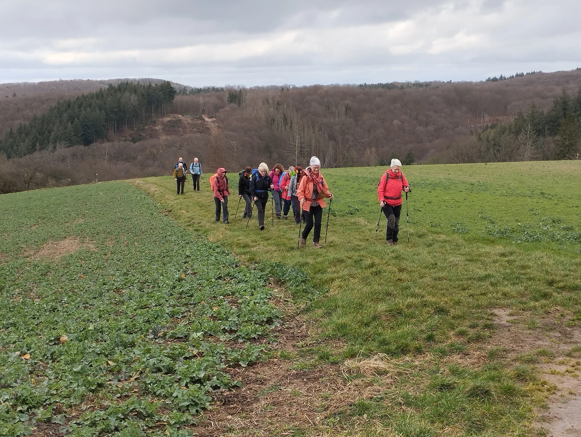 Auf Feldweg | © DAV Koblenz