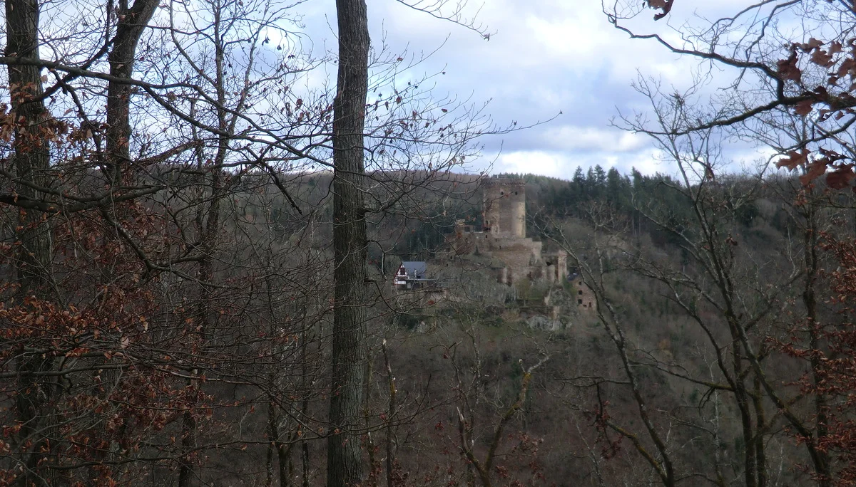 Blick auf Ehrenburg | © DAV Koblenz