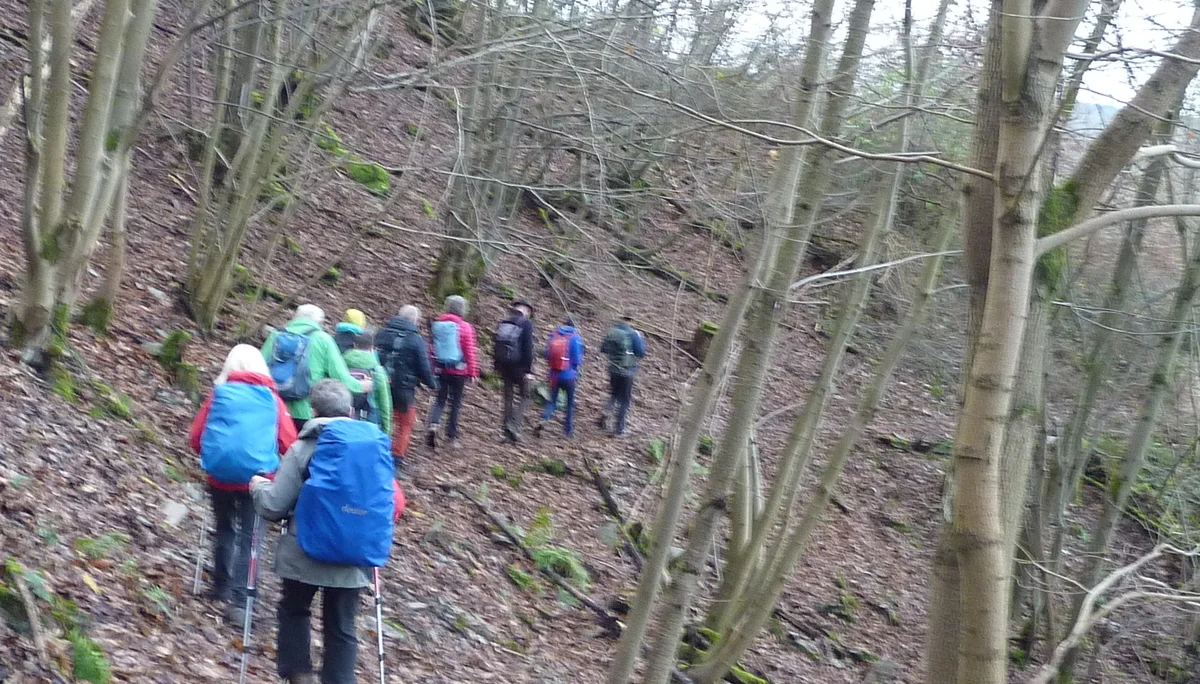 Abstieg nach Boppard | © DAV Koblenz