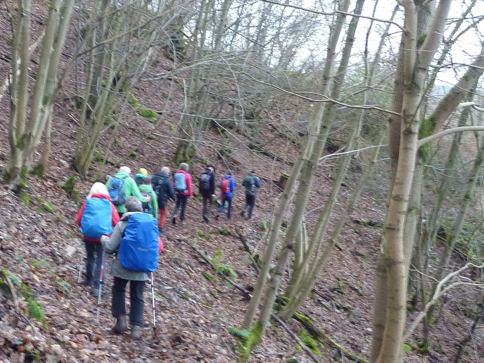 Abstieg nach Boppard | © DAV Koblenz