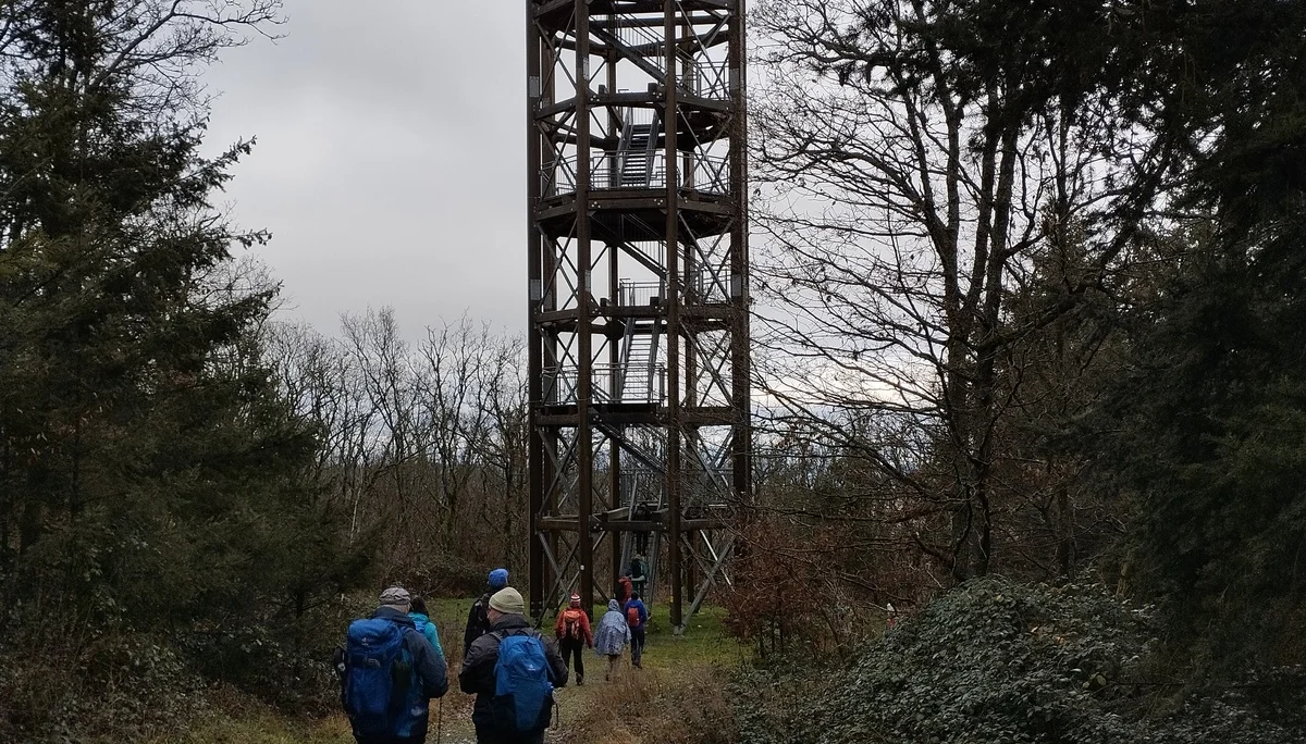 Aussichtsturm Fünf-Seen-Blick | © DAV Koblenz