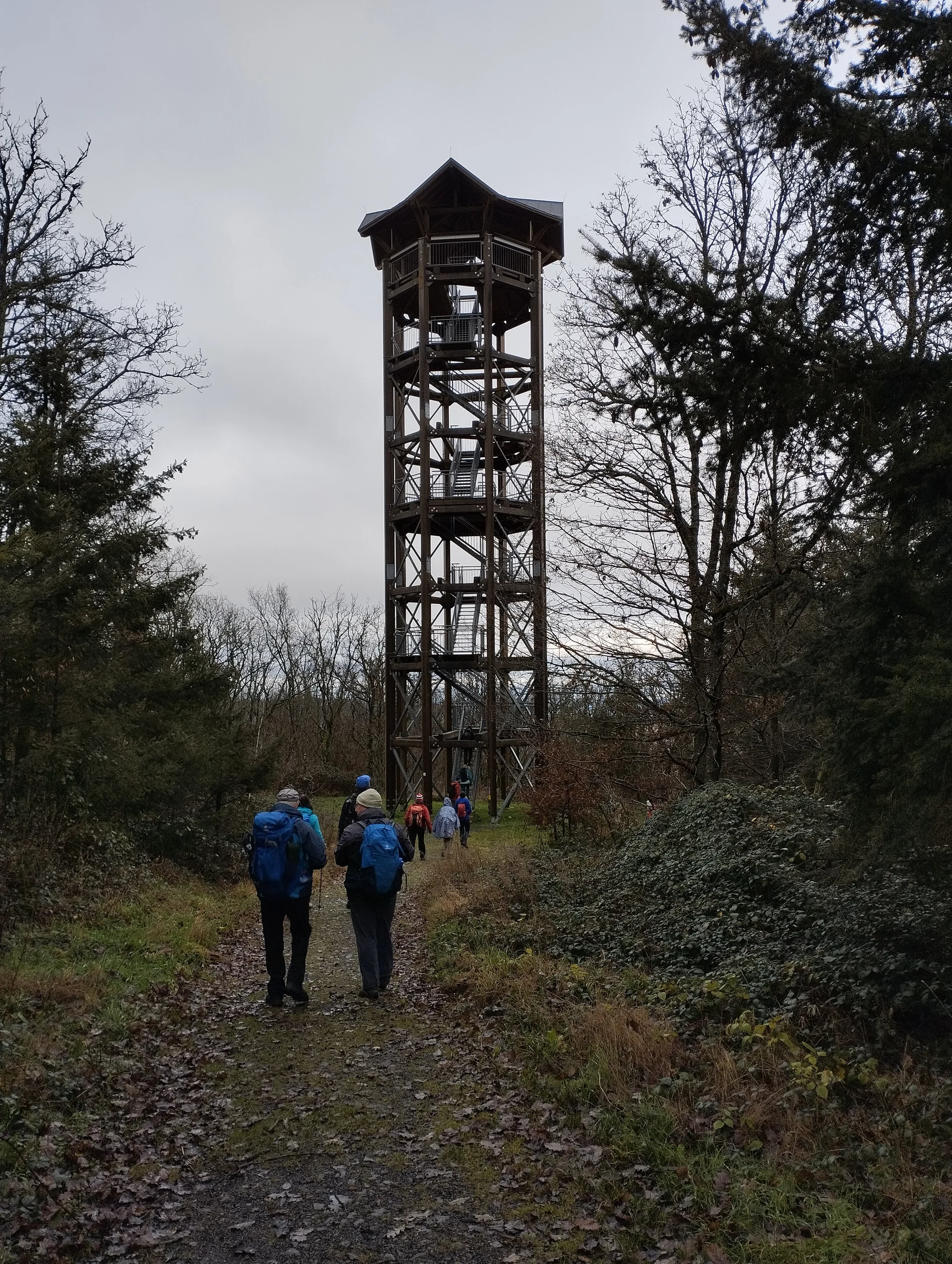 Aussichtsturm Fünf-Seen-Blick | © DAV Koblenz
