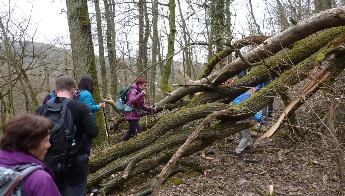 Noch mehr Hindernisse | © DAV Koblenz