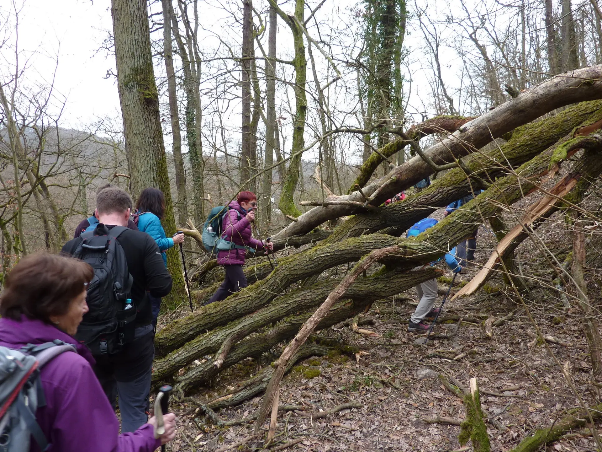 Noch mehr Hindernisse | © DAV Koblenz