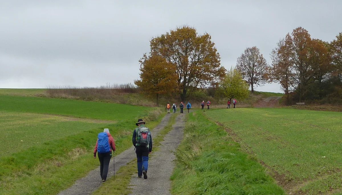 Rückweg nach Lollschied | © DAV Koblenz