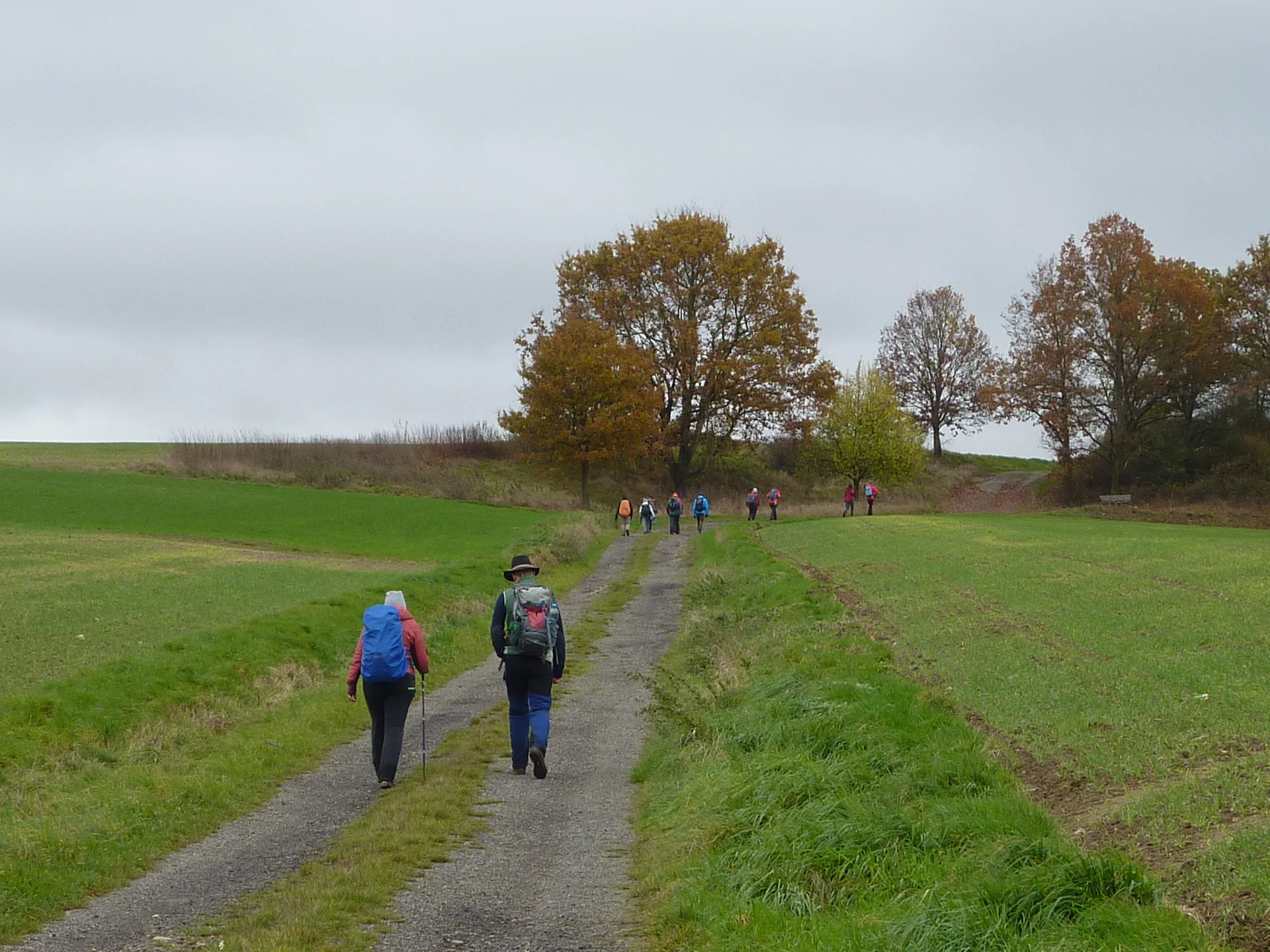 Rückweg nach Lollschied | © DAV Koblenz