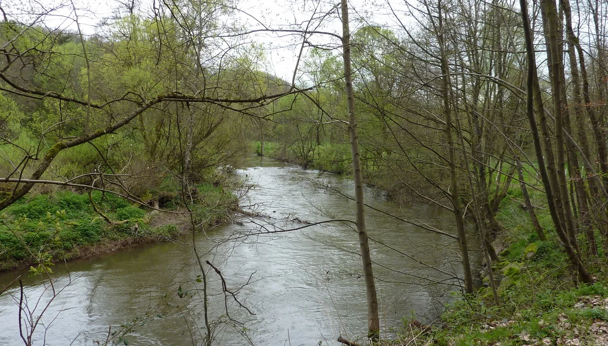 Entlang der Wied | © DAV Koblenz