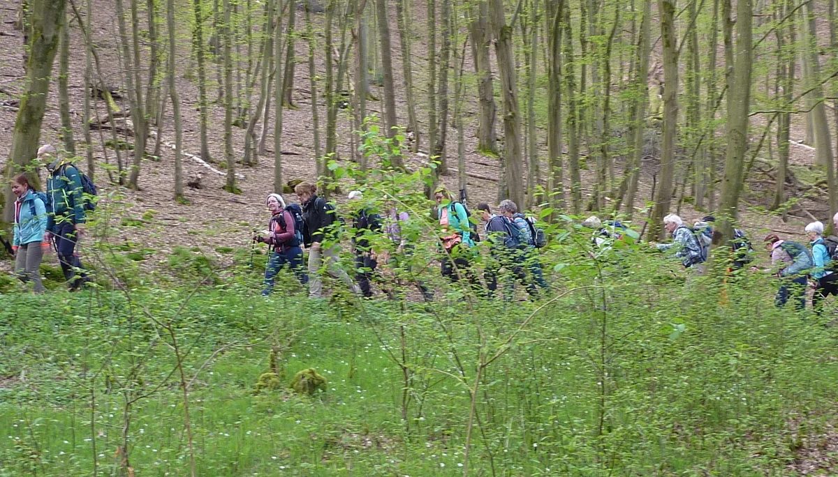 Kurzer Aufstieg | © DAV Koblenz