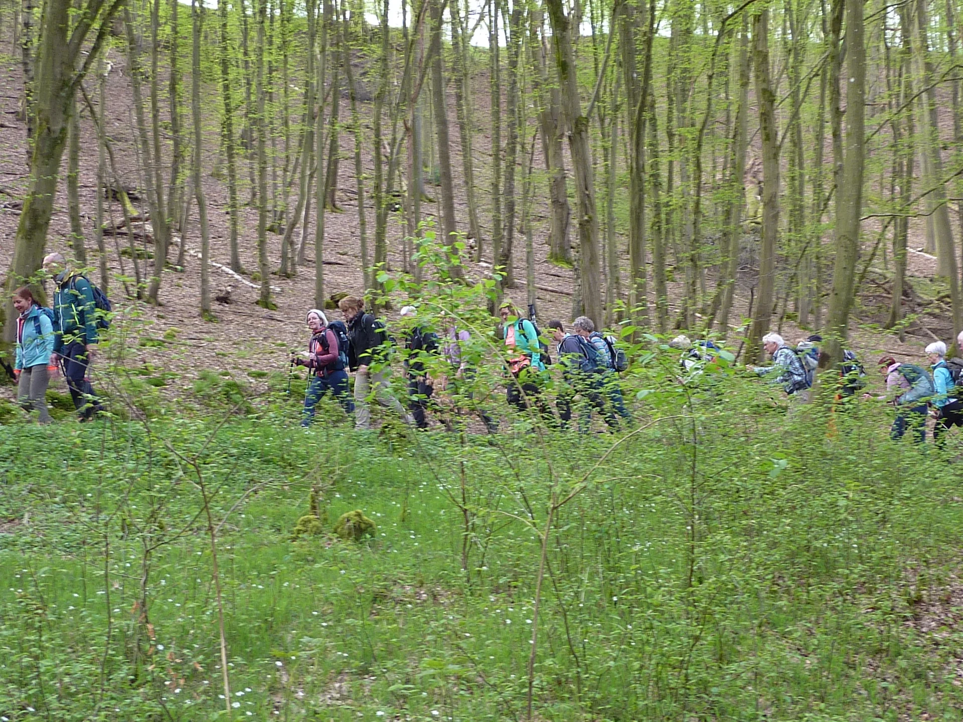 Kurzer Aufstieg | © DAV Koblenz