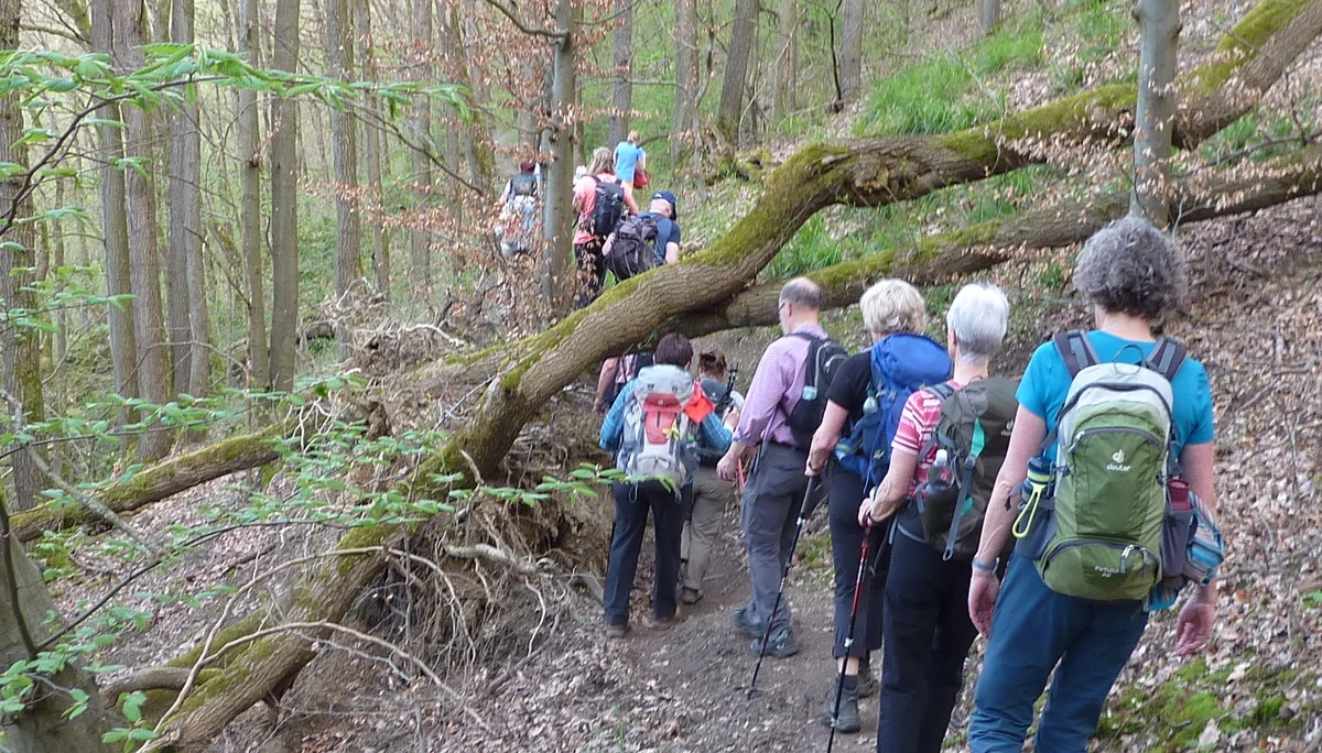 Kleines Hindernis | © DAV Koblenz