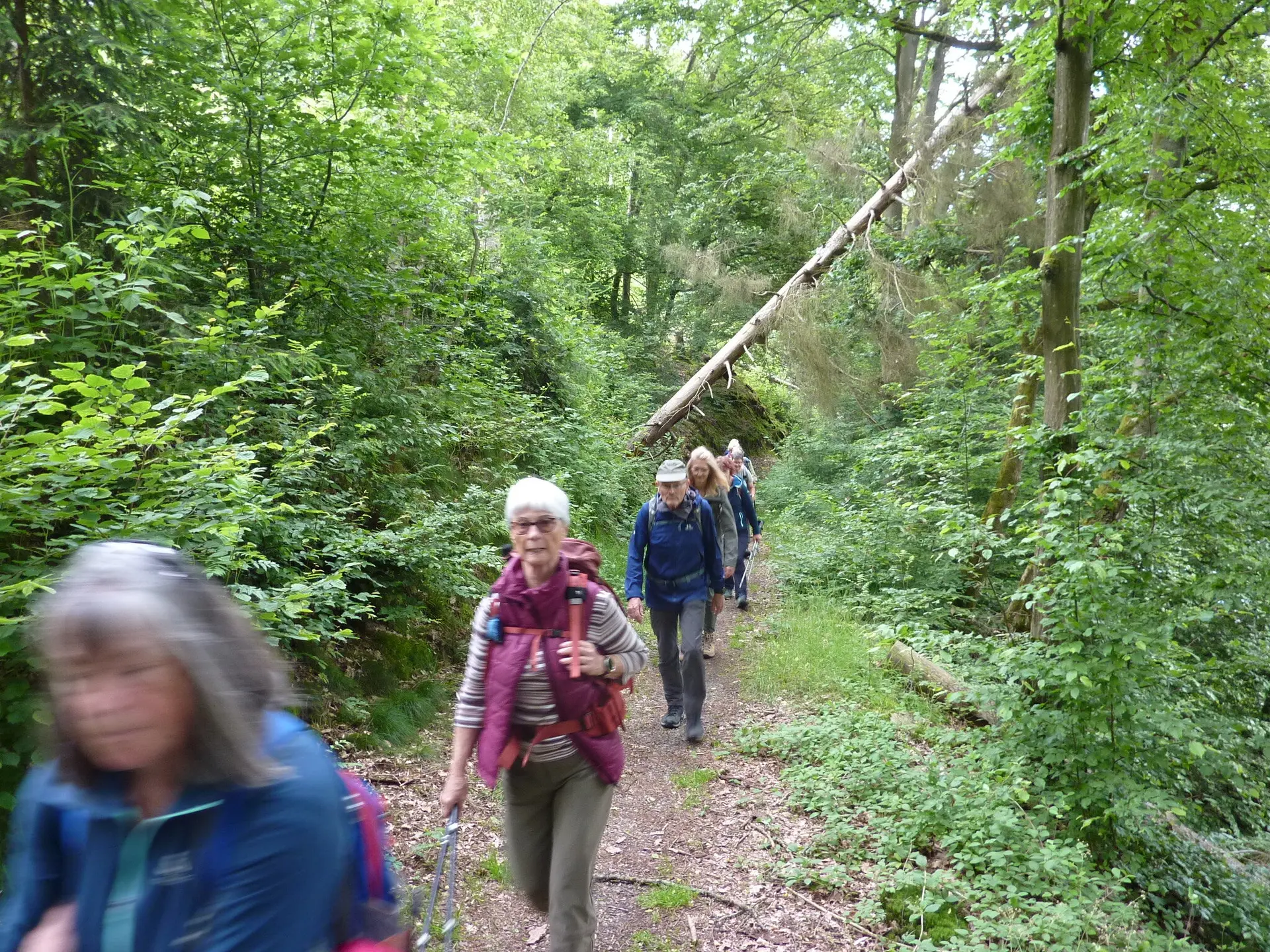 Kleines Hindernis | © DAV Koblenz