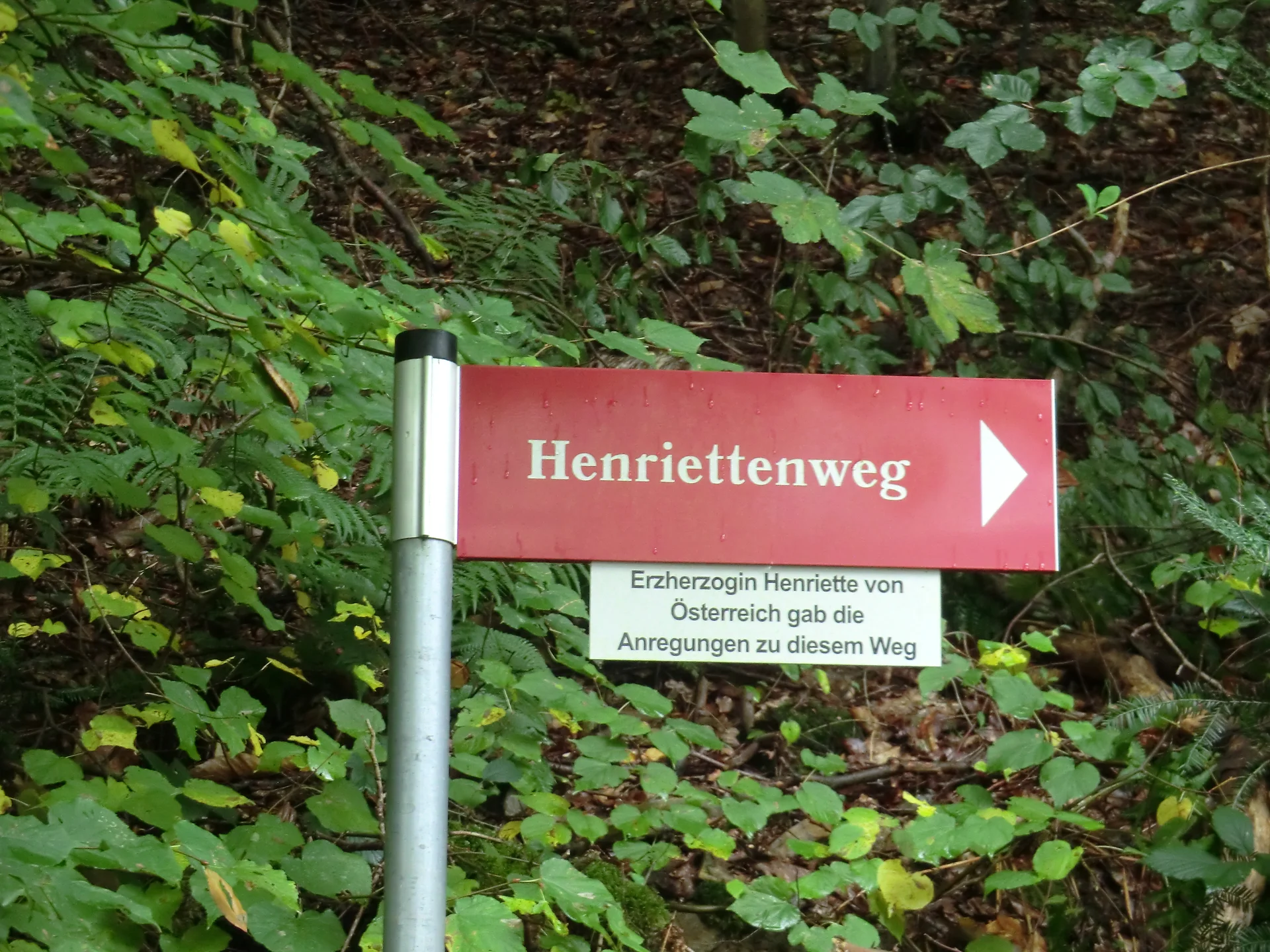 Wegweiser 2 | © DAV Koblenz