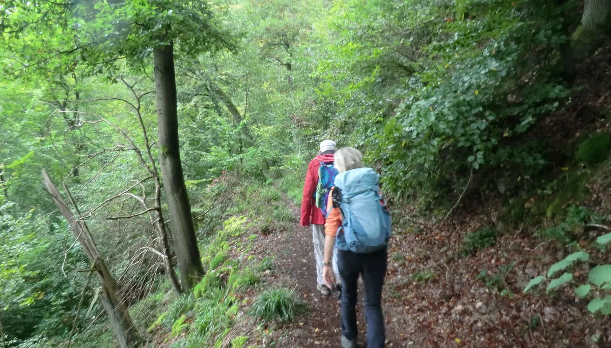 Entlang des Weges | © DAV Koblenz