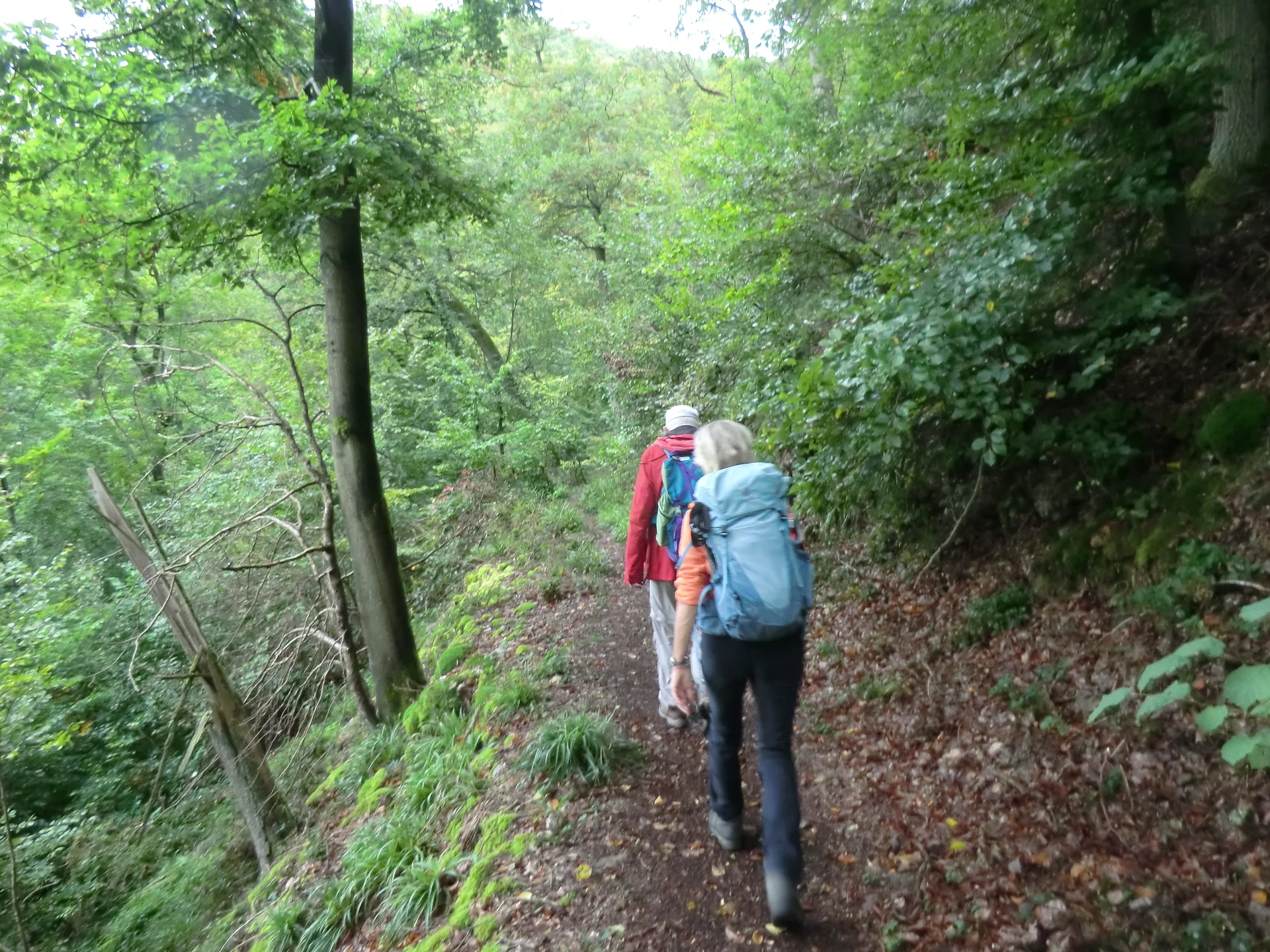 Entlang des Weges | © DAV Koblenz