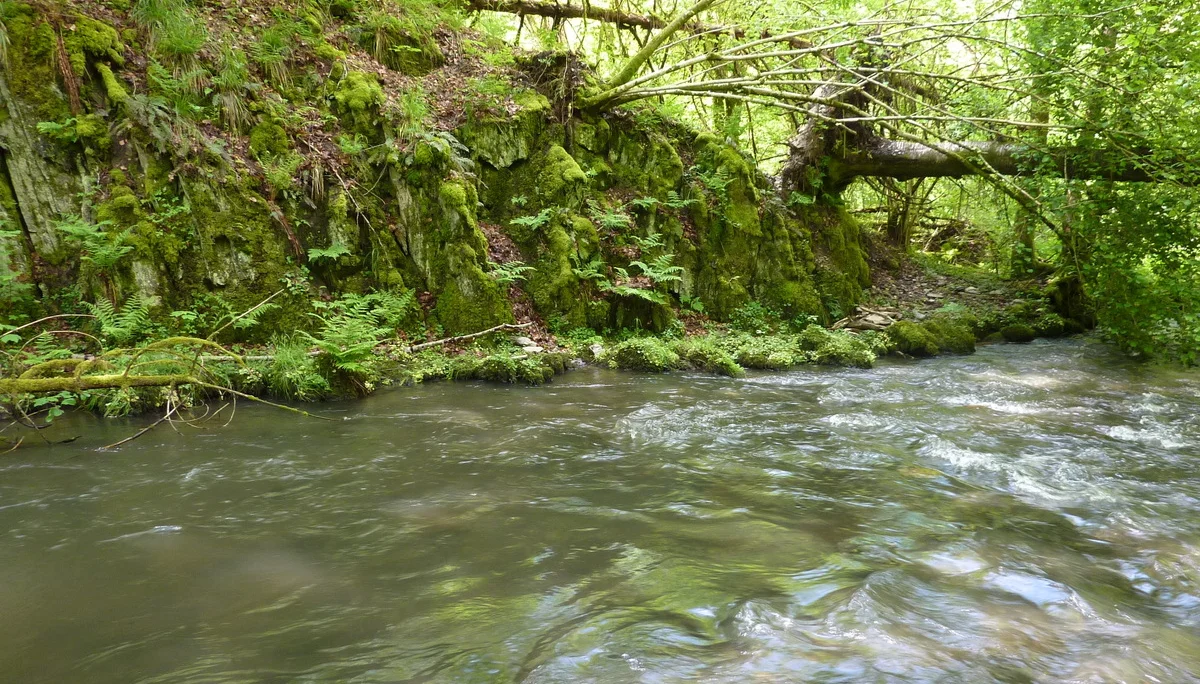 Bachauenlandschaft | © DAV Koblenz