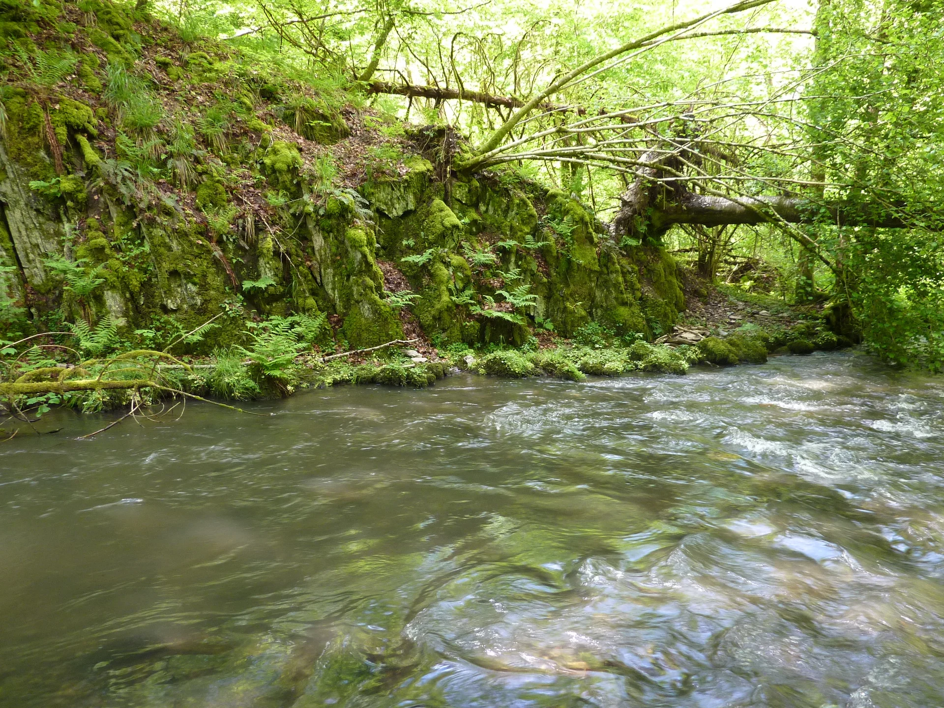 Bachauenlandschaft | © DAV Koblenz