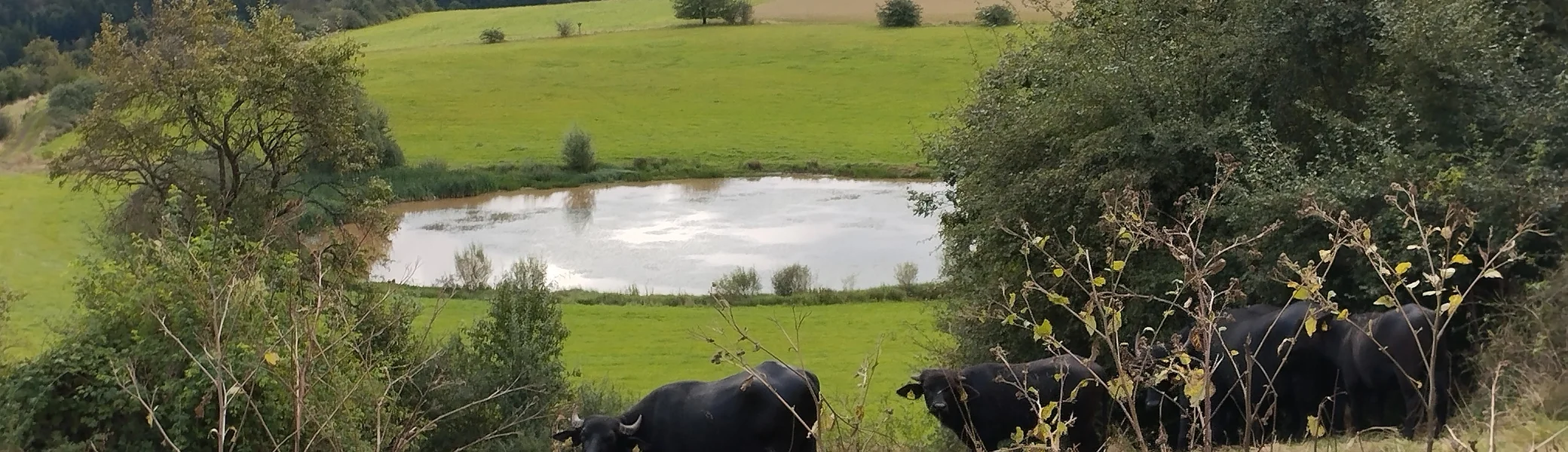 Trautzberger Maar | © DAV Koblenz