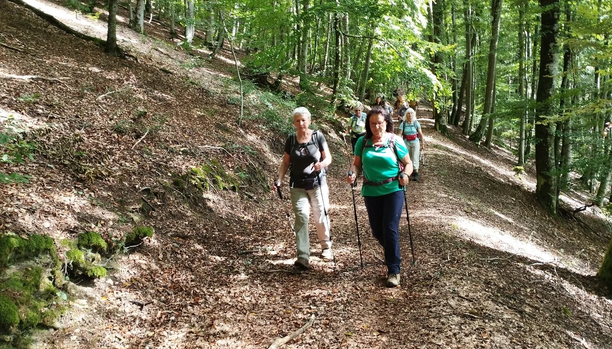 Auf dem Waldweg | © DAV Koblenz