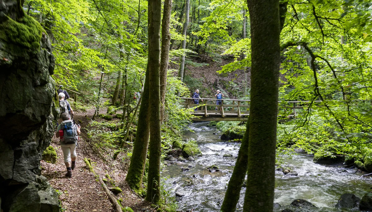 Alfbach | © DAV Koblenz