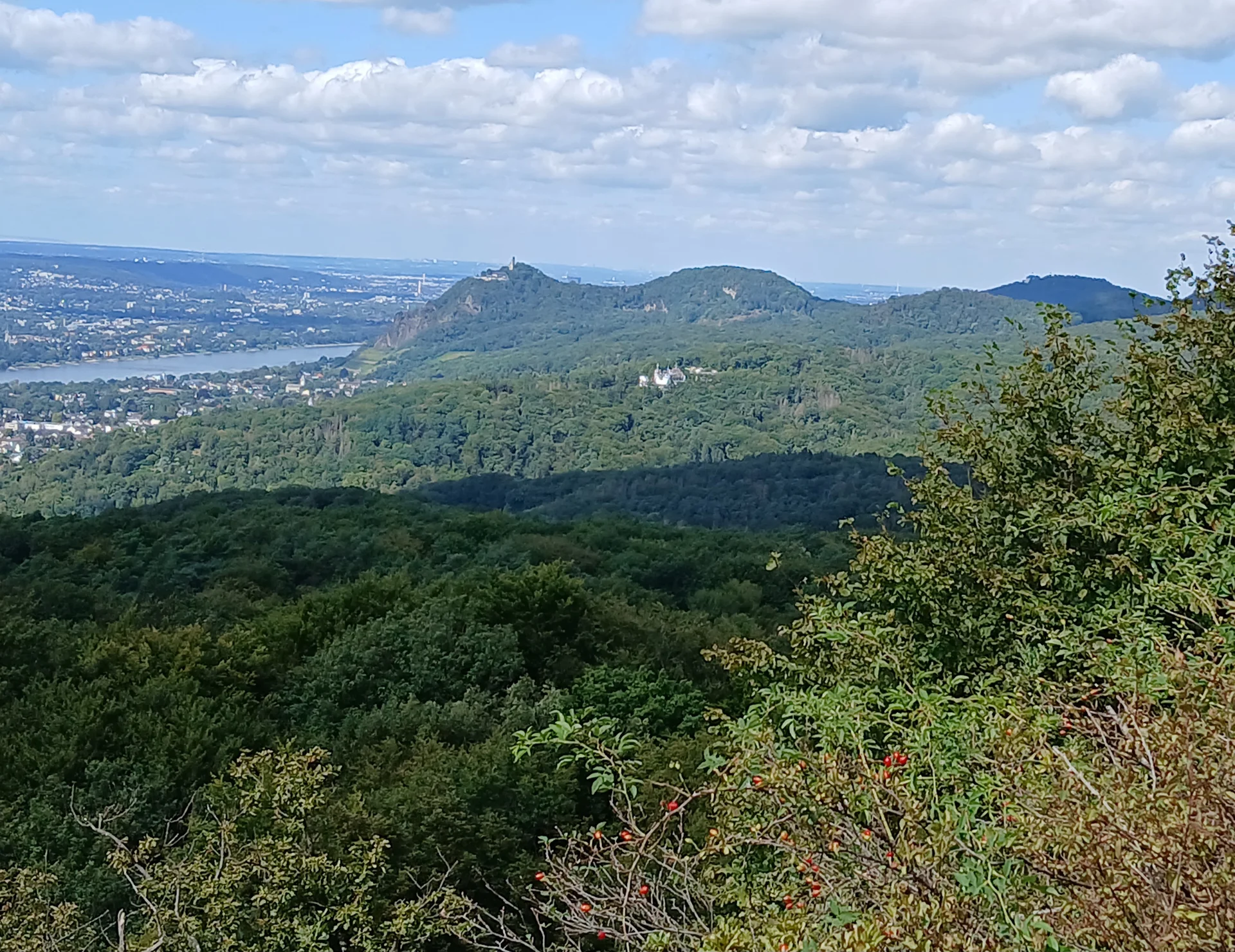 Talblick mit Rhein | © DAV_Koblenz