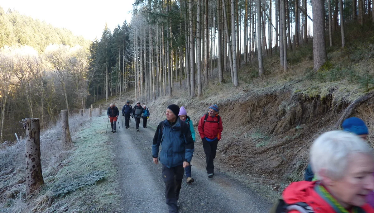 Waldweg im Ortsbachtal | © DAV Koblenz