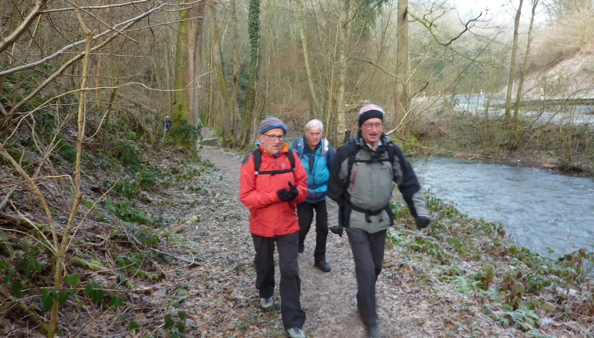Pfad auf Mosel-Seitensprung | © DAV Koblenz